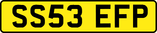 SS53EFP