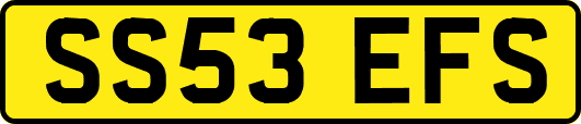 SS53EFS