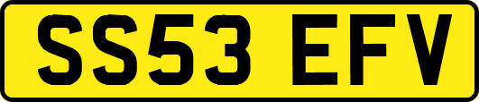 SS53EFV