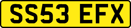 SS53EFX