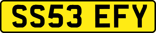 SS53EFY