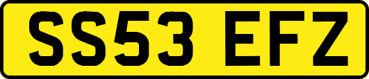 SS53EFZ