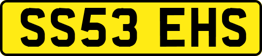 SS53EHS