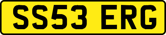 SS53ERG