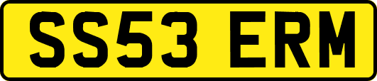 SS53ERM