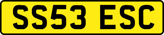 SS53ESC