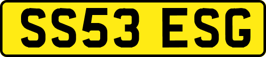 SS53ESG
