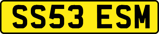 SS53ESM