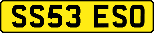 SS53ESO