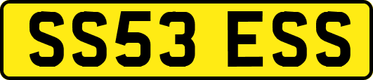 SS53ESS