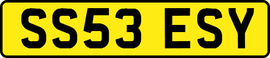 SS53ESY