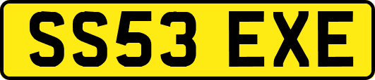 SS53EXE