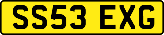 SS53EXG