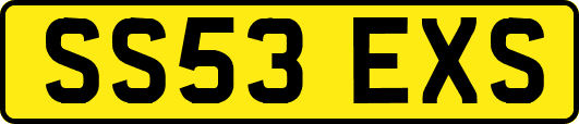 SS53EXS