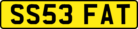 SS53FAT