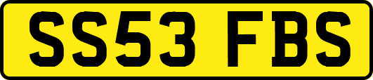 SS53FBS