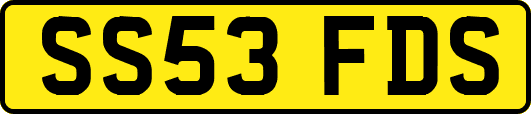 SS53FDS
