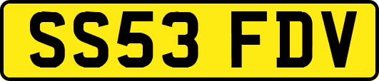 SS53FDV