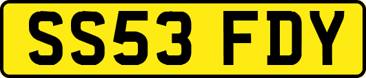 SS53FDY