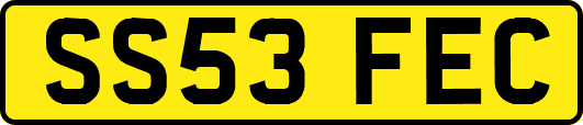SS53FEC