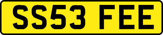 SS53FEE