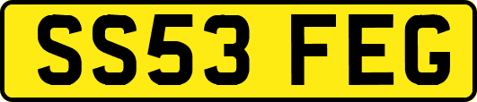 SS53FEG