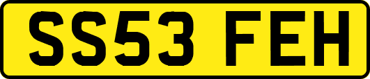 SS53FEH