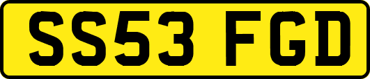 SS53FGD
