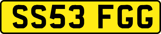 SS53FGG