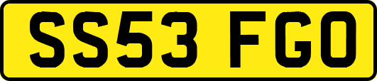 SS53FGO