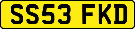 SS53FKD