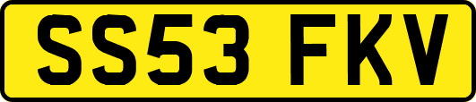 SS53FKV