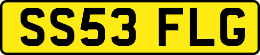 SS53FLG