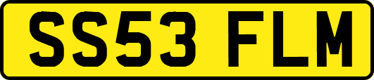 SS53FLM