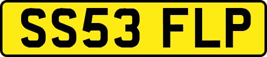 SS53FLP