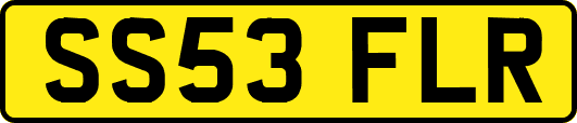 SS53FLR