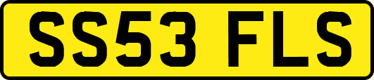 SS53FLS