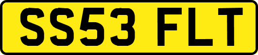 SS53FLT