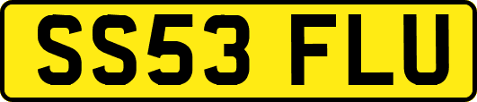 SS53FLU