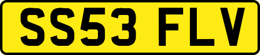 SS53FLV
