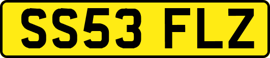 SS53FLZ