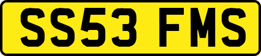 SS53FMS