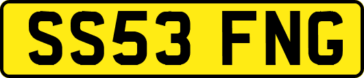 SS53FNG