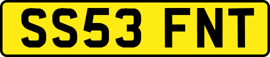 SS53FNT