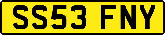 SS53FNY