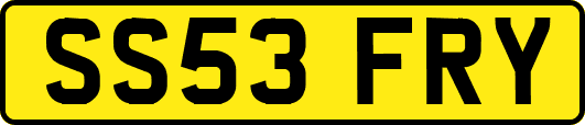 SS53FRY