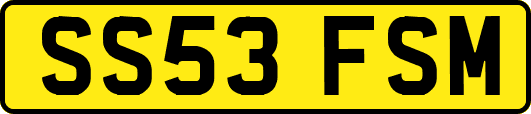 SS53FSM