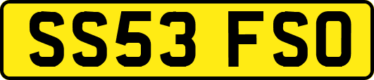 SS53FSO