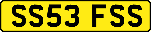 SS53FSS