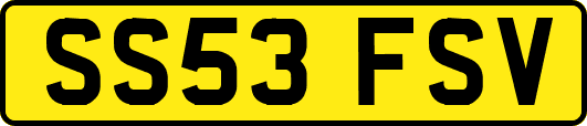 SS53FSV
